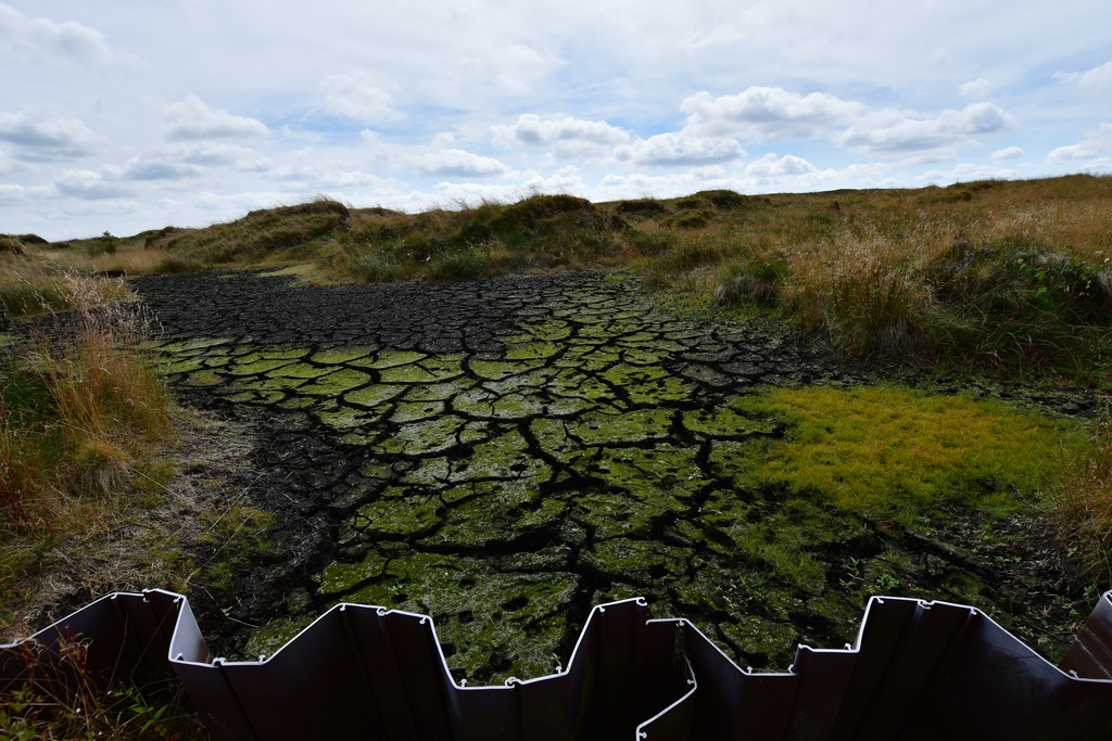 2018-08-04 Nottingham/Peak District/DSC_3620.JPG